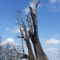 20140207_101755.jpg