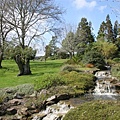 Ayrlies Garden5