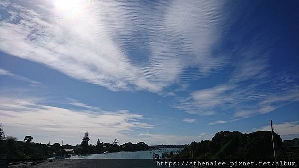 DSC_1780.JPG