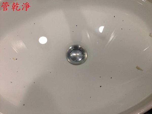 新竹縣 竹北市 四維街 水管清洗 新竹縣 竹北市 四維街 水管清洗