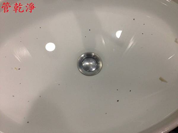 新竹縣 竹北市 四維街 水管清洗