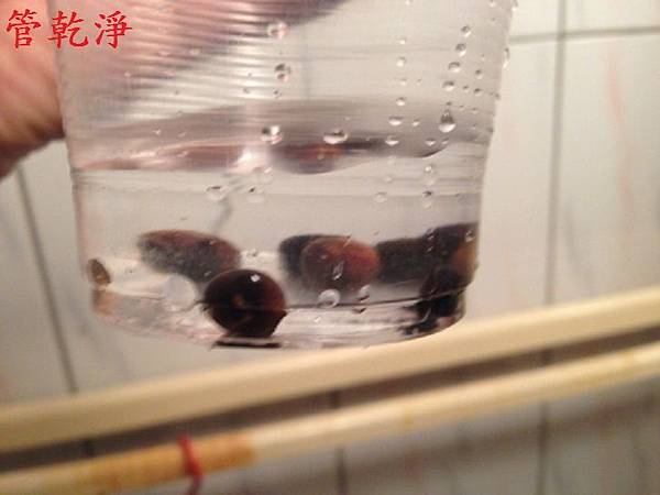 桃園市 龜山鄉 萬壽2段 清洗 桃園市 龜山鄉 萬壽2段 清洗