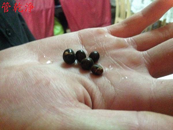 桃園市 龜山鄉 萬壽2段 洗管清 桃園市 龜山鄉 萬壽2段 洗管清