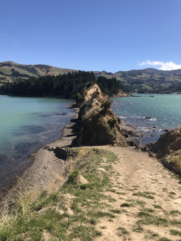 Nz20180209-093.jpg