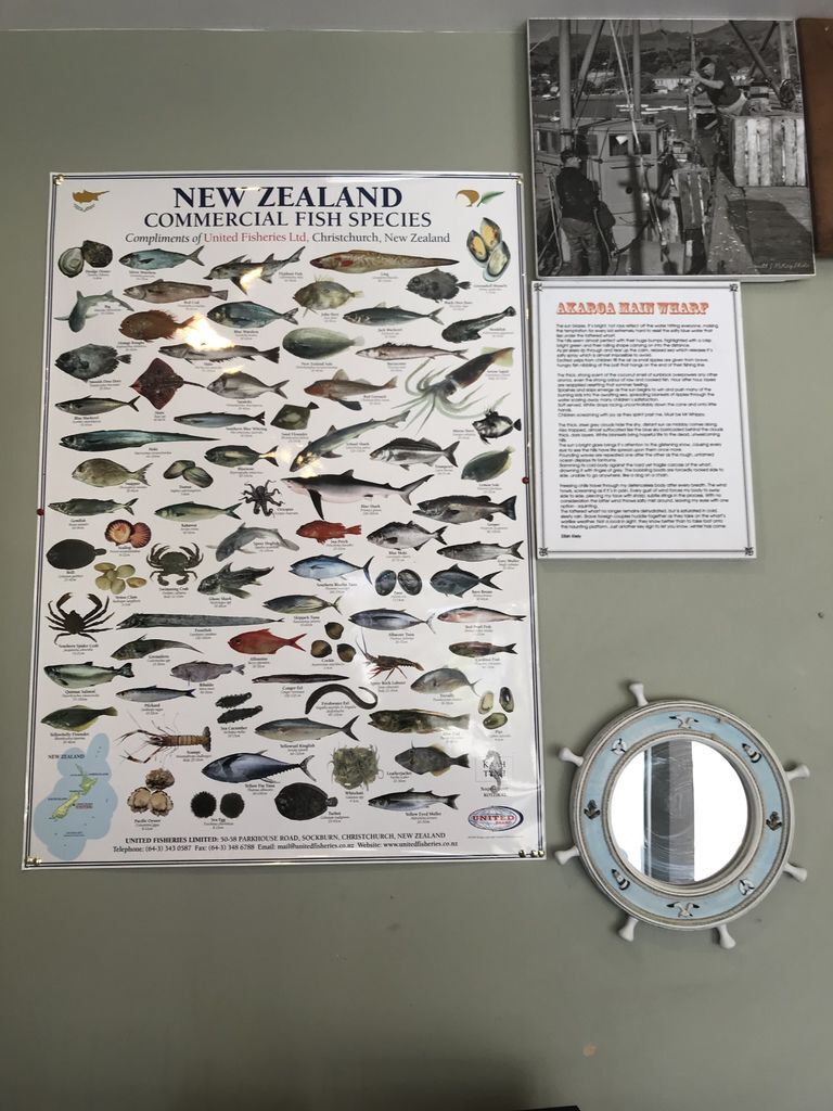 Nz20180209-297.jpg