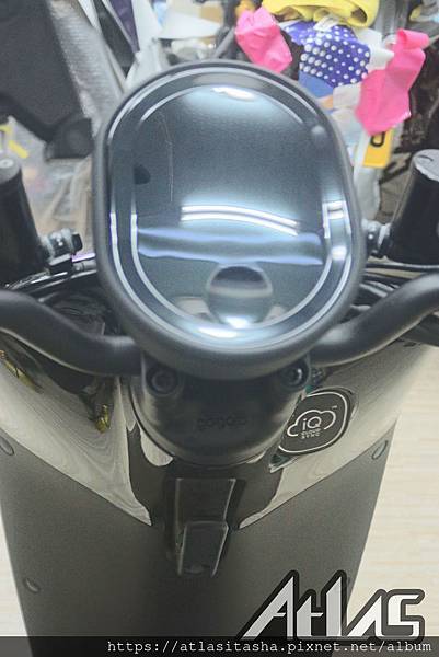 IMG_4555.jpg IMG_4555.jpg