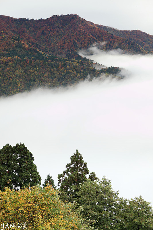 【富山長野紅葉】立山黑部秋色