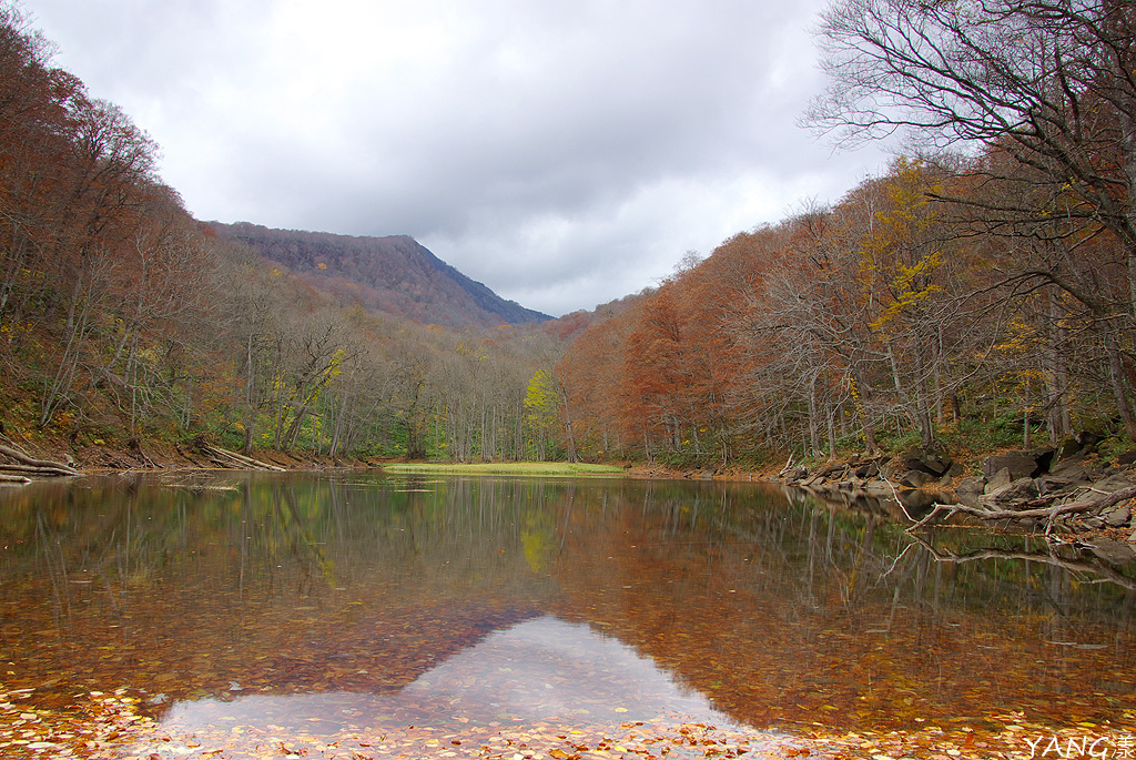 【青森紅葉】蔦沼散策賞紅葉