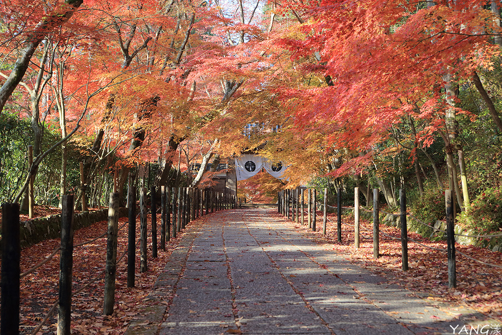 光明寺