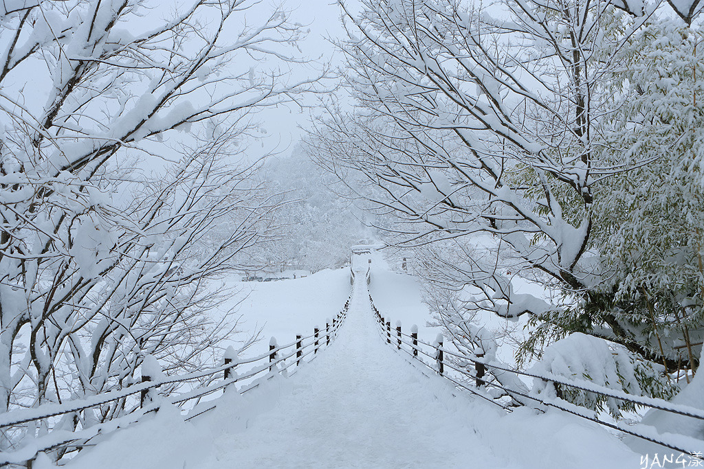 合掌村