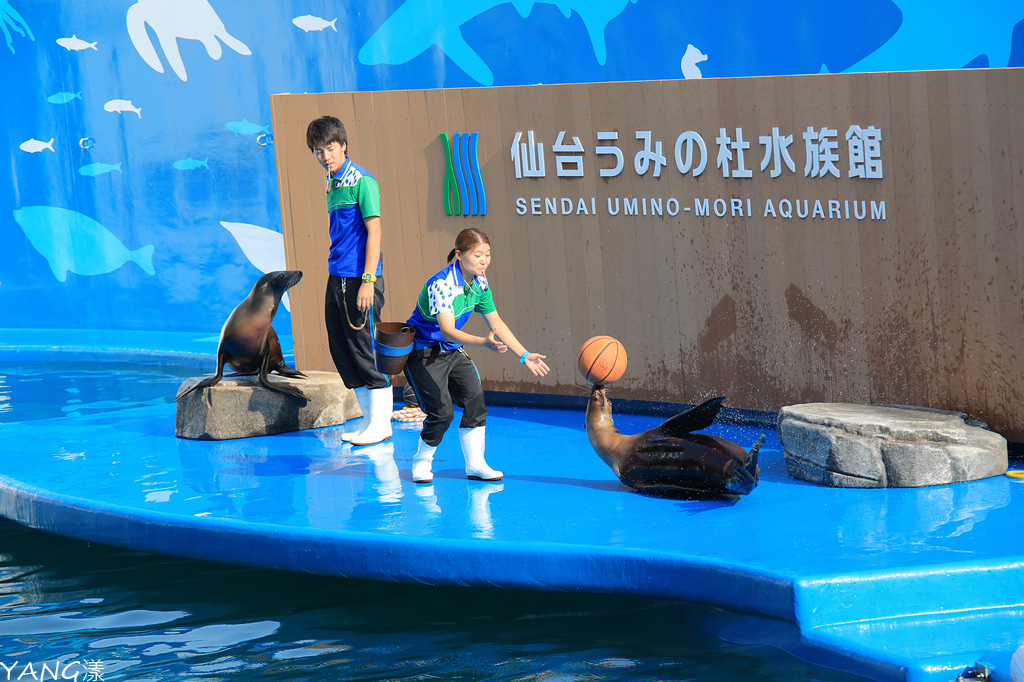 水族館 仙台