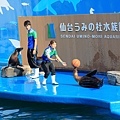 仙台海之杜水族館