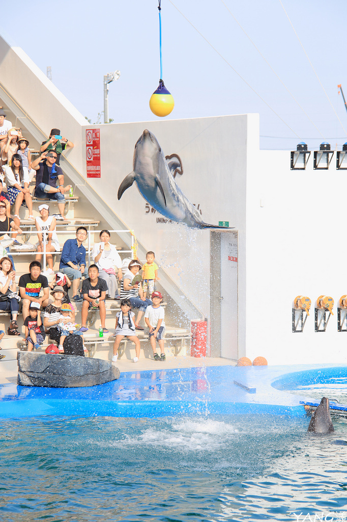 仙台海之杜水族館