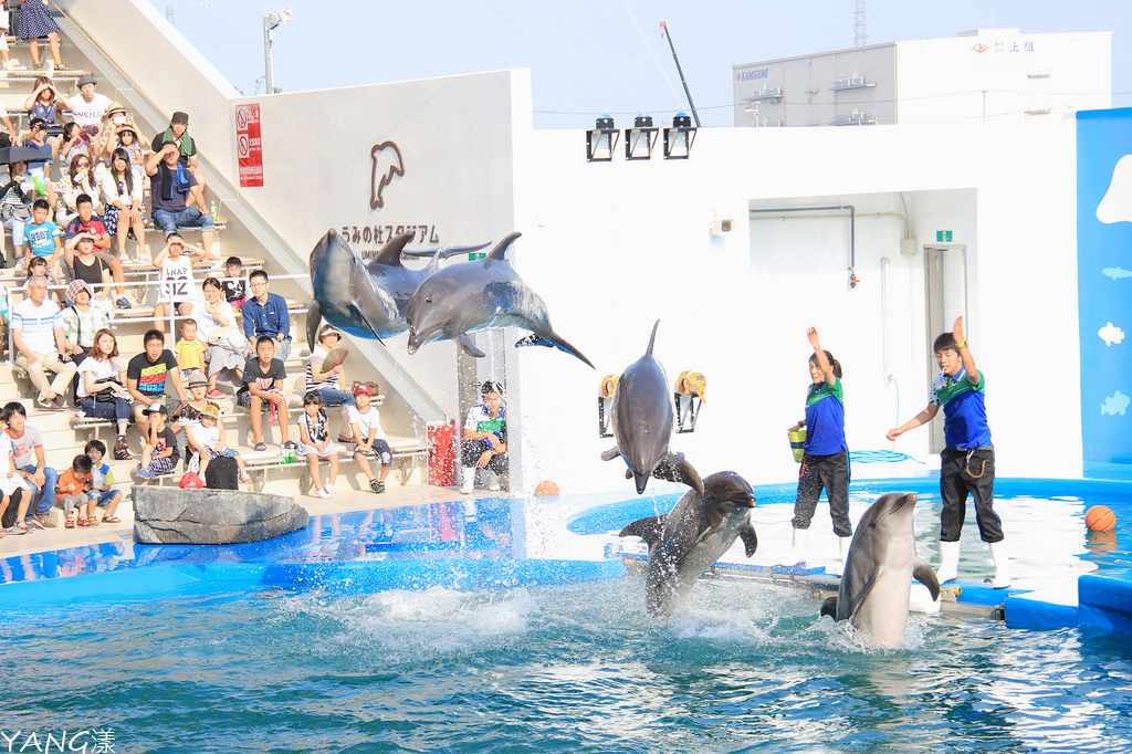 仙台海之杜水族館