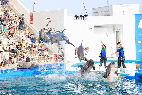 仙台海之杜水族館