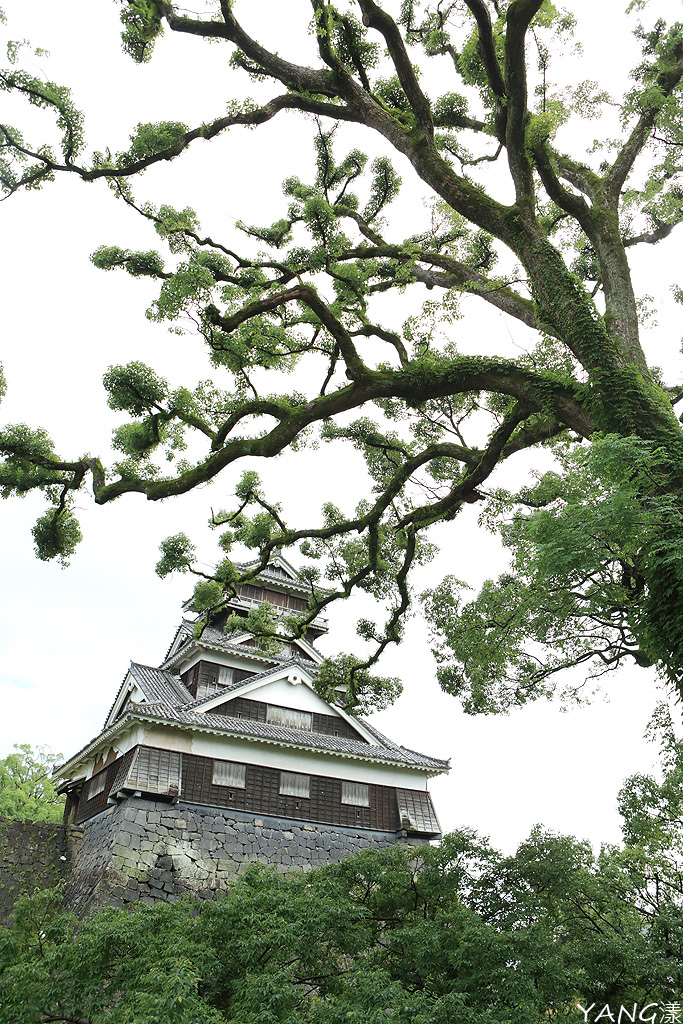 熊本城