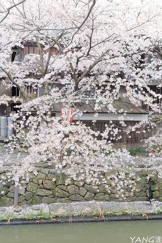 八幡堀