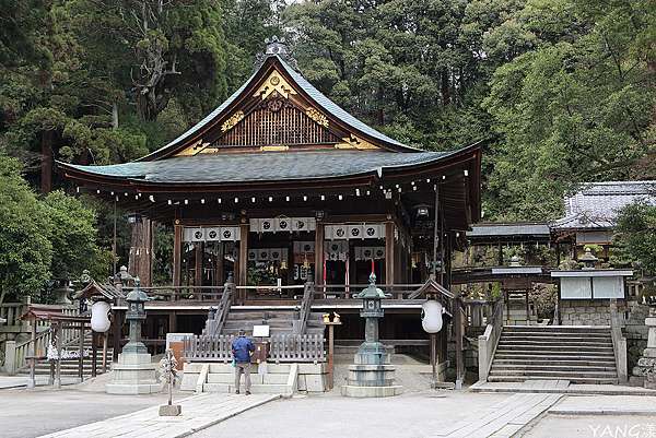 滋賀 近江八幡之八幡堀 水鄉漫步賞櫻花 Yang漾的趴趴照 痞客邦