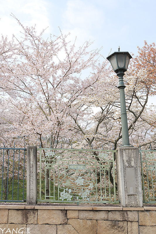 三井寺