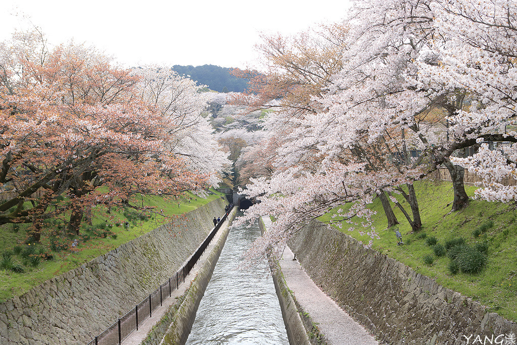 三井寺