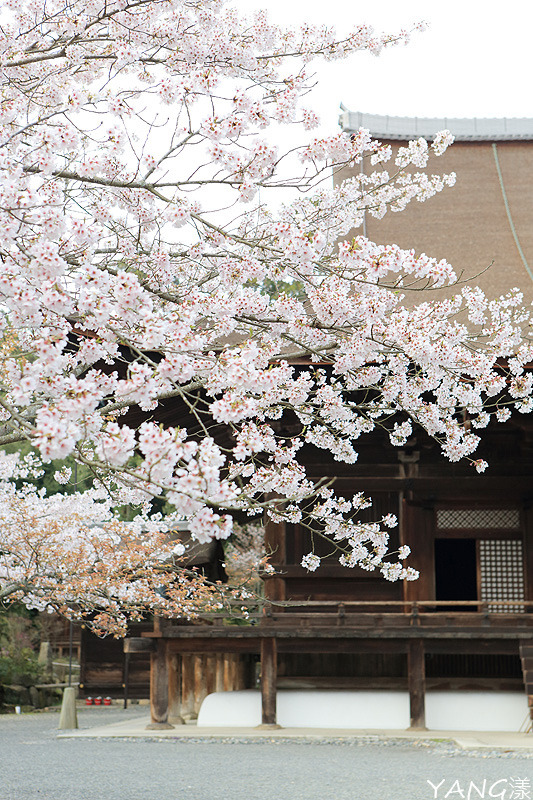 三井寺