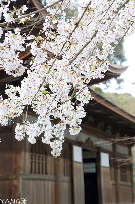 三井寺