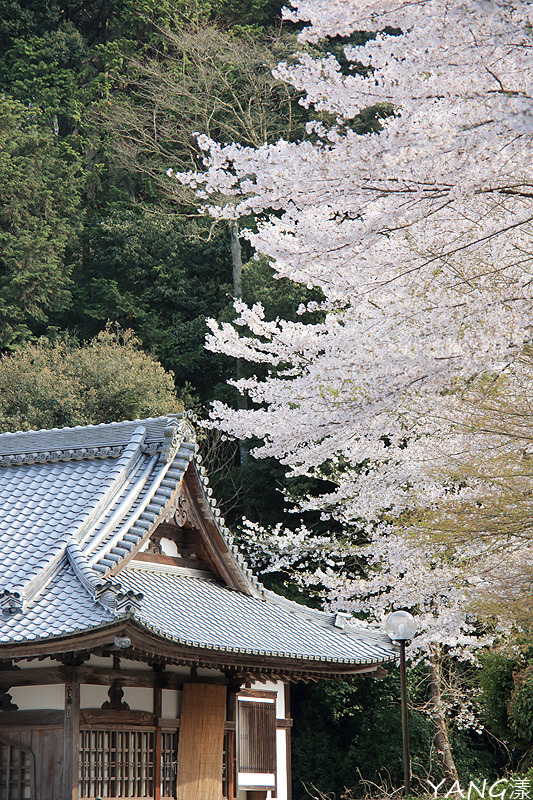 三井寺