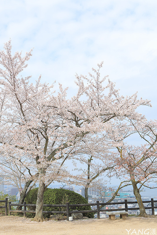 三井寺