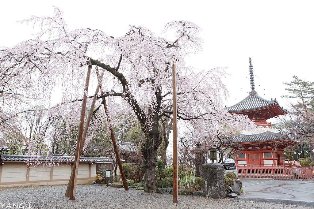 喜多院