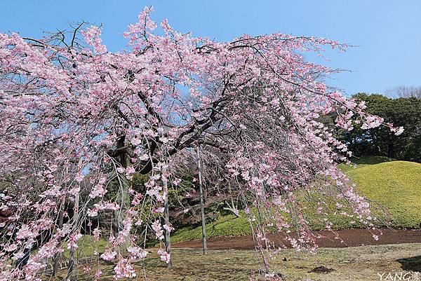 富岩環水公園