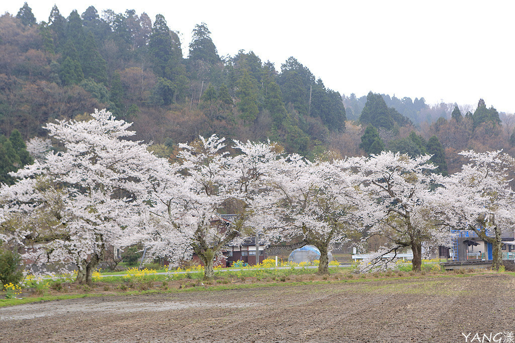 余吳湖