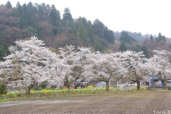 余吳湖