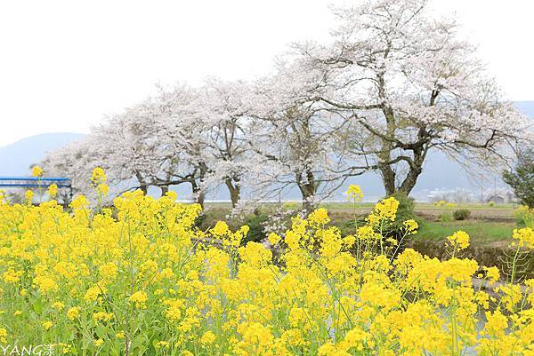 余吳湖