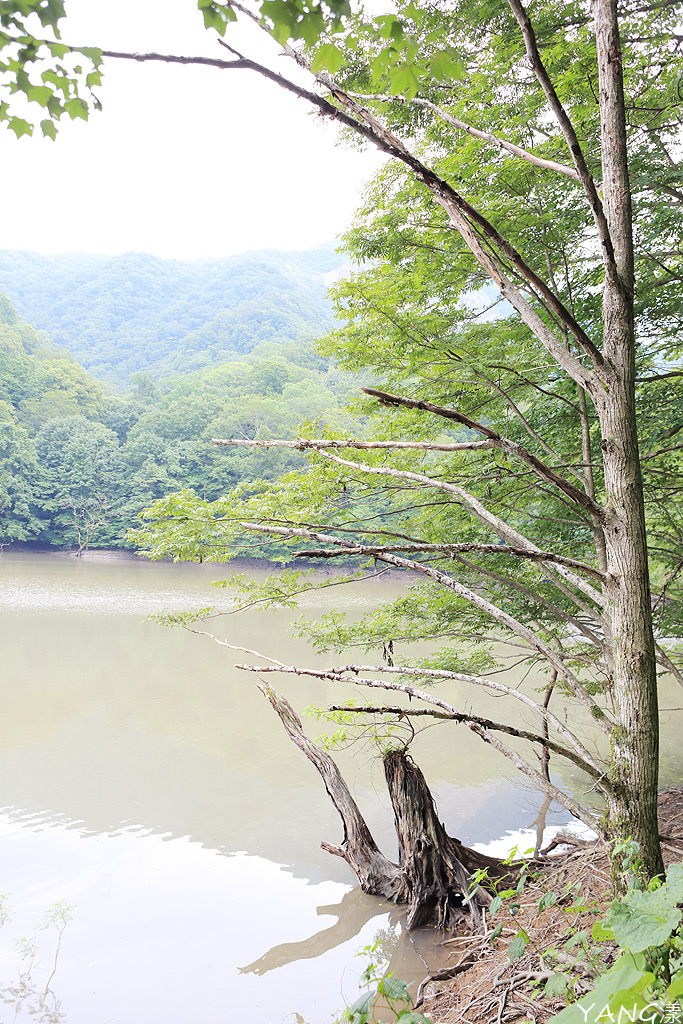 白神十二湖