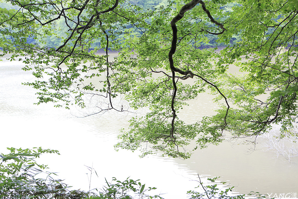 白神十二湖