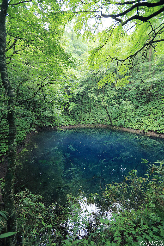 白神十二湖