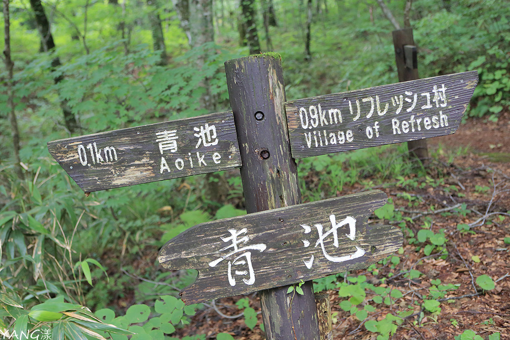 白神十二湖