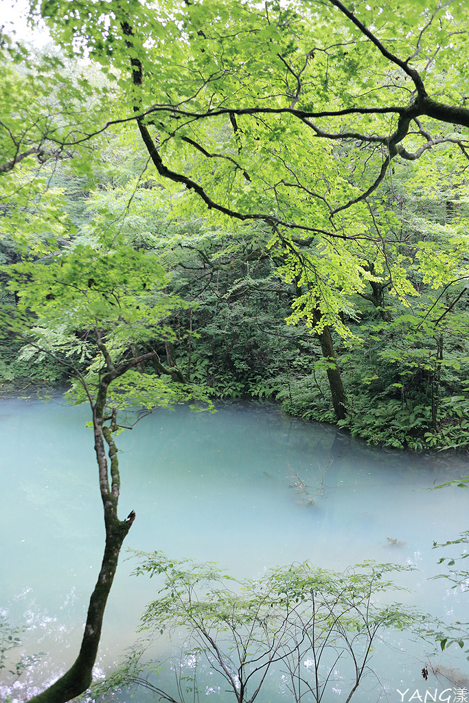 白神十二湖