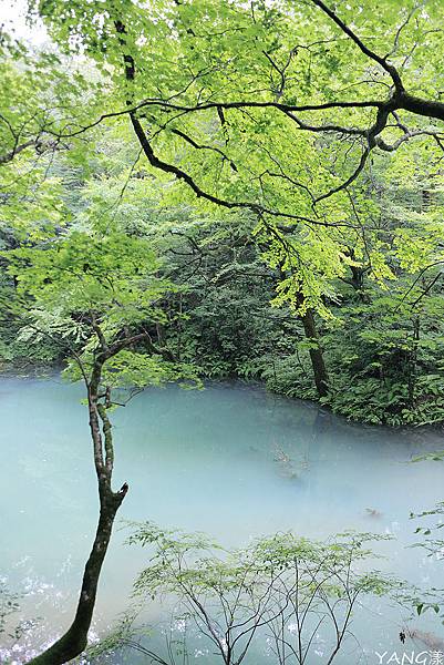 白神十二湖