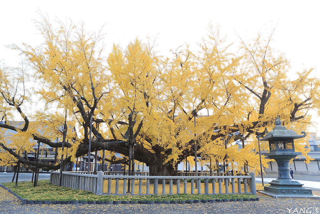 西本願寺