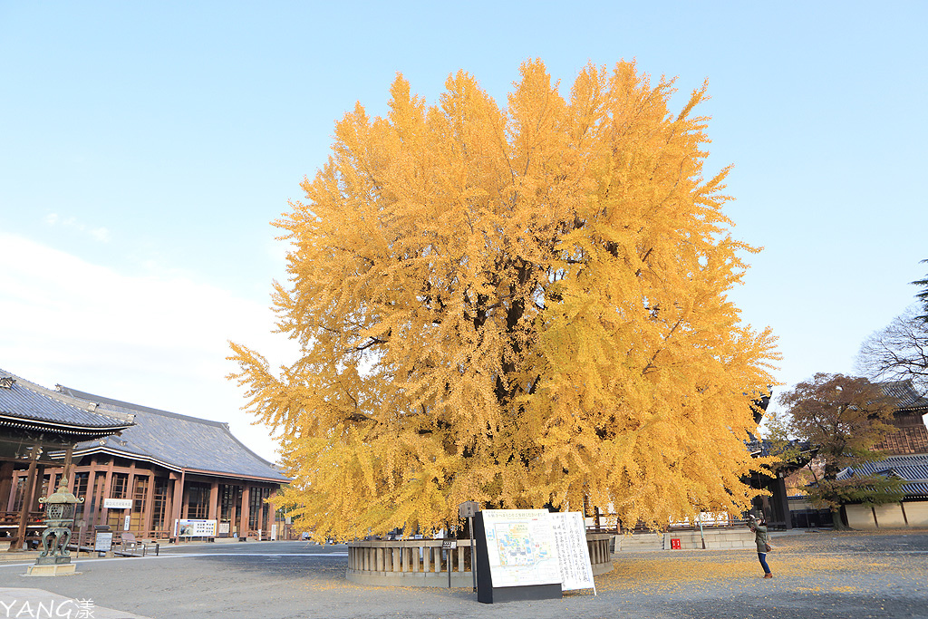 西本願寺