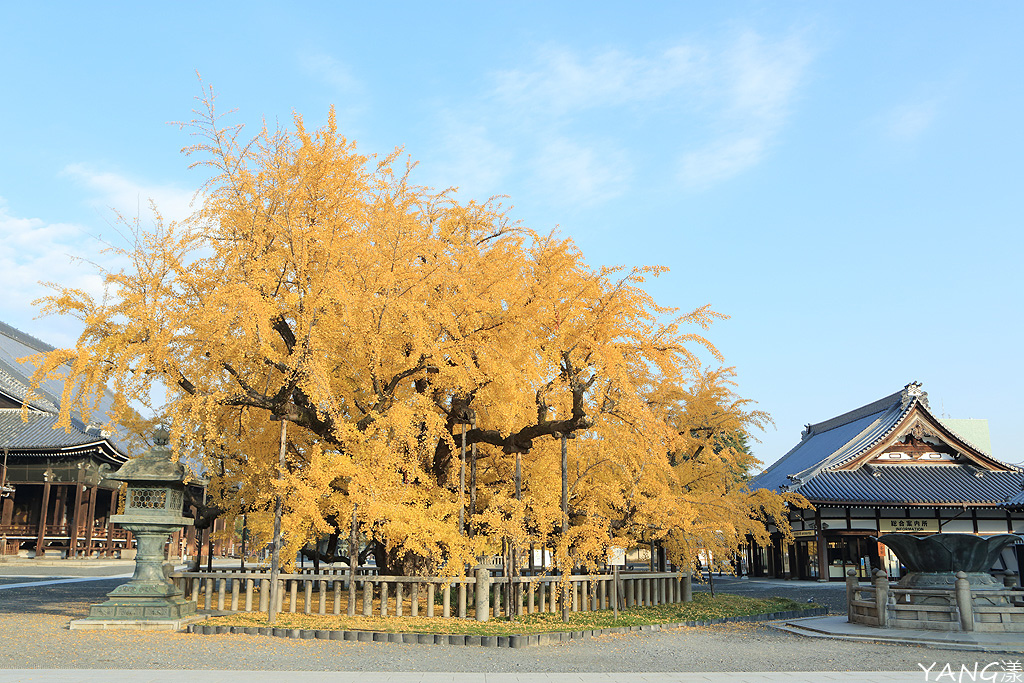 西本願寺