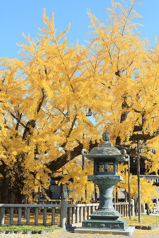 西本願寺