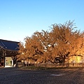 西本願寺