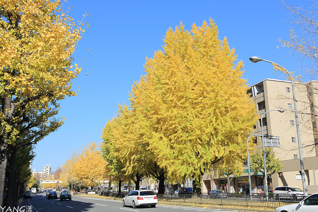 京都堀川通