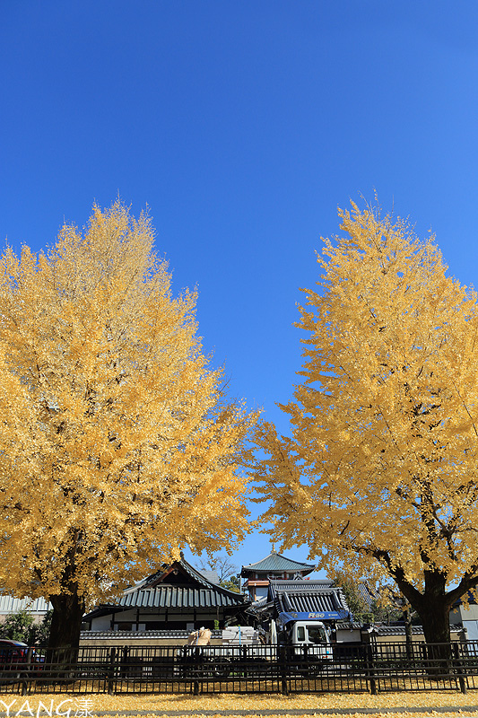 京都堀川通