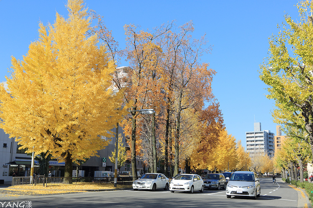 京都堀川通