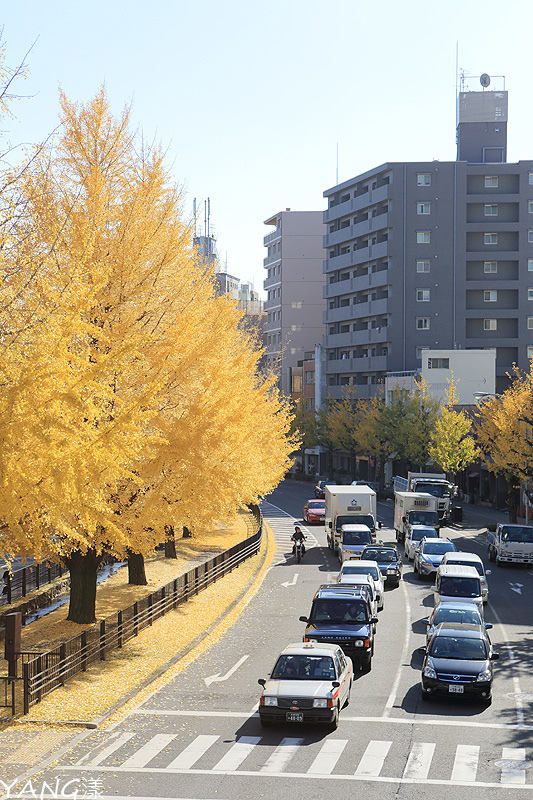 京都堀川通