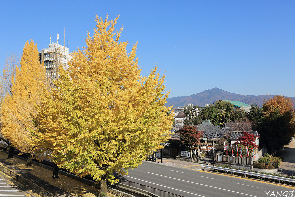 京都堀川通