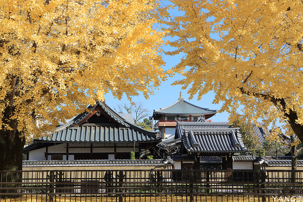 京都堀川通